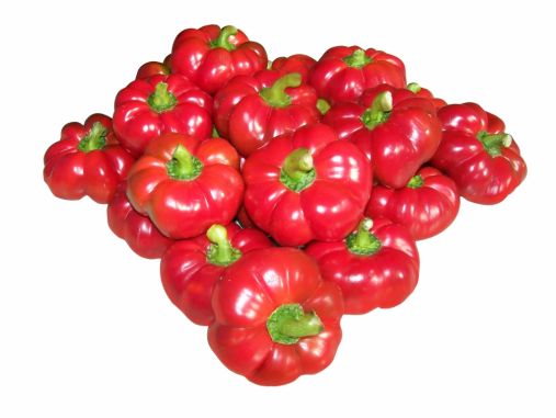 Tomato pepper